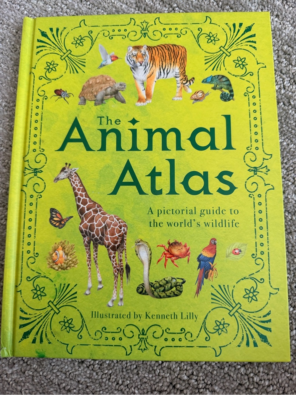 9 Informative Kids Books - Picture 3 of 11